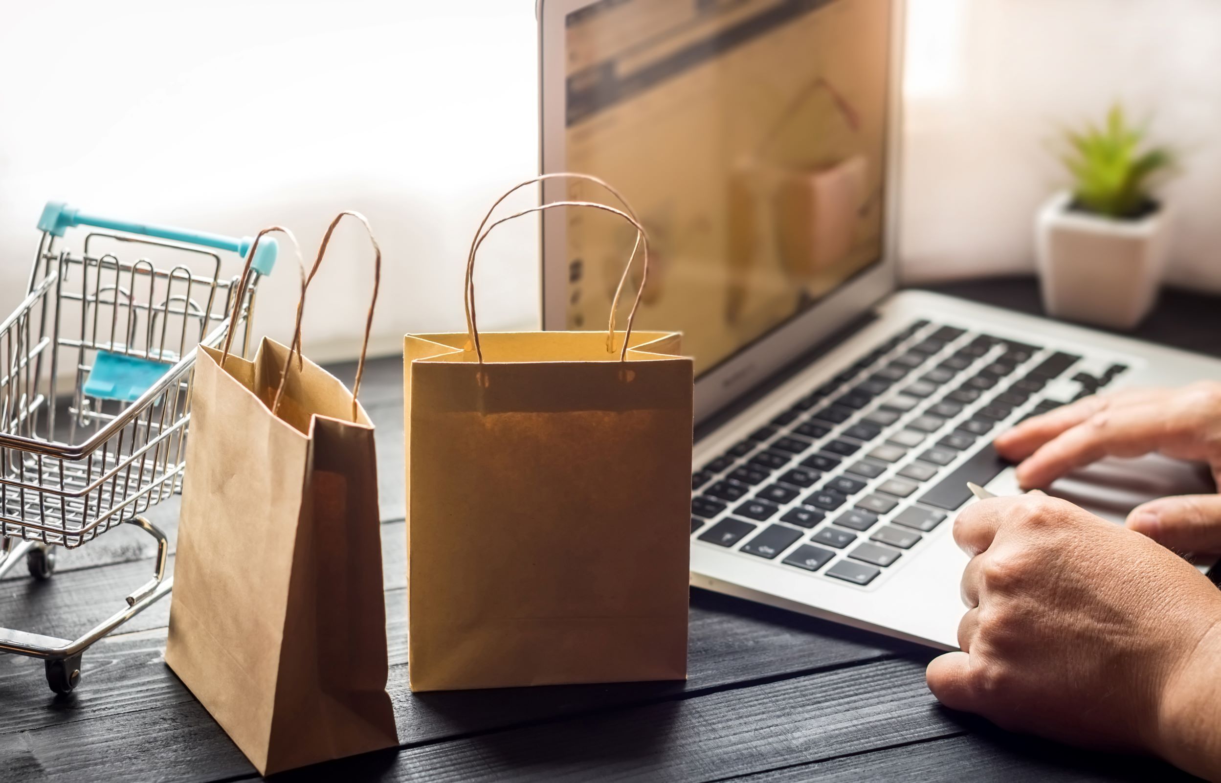 e-commerce shopping cart, online merchant, web payment solutions