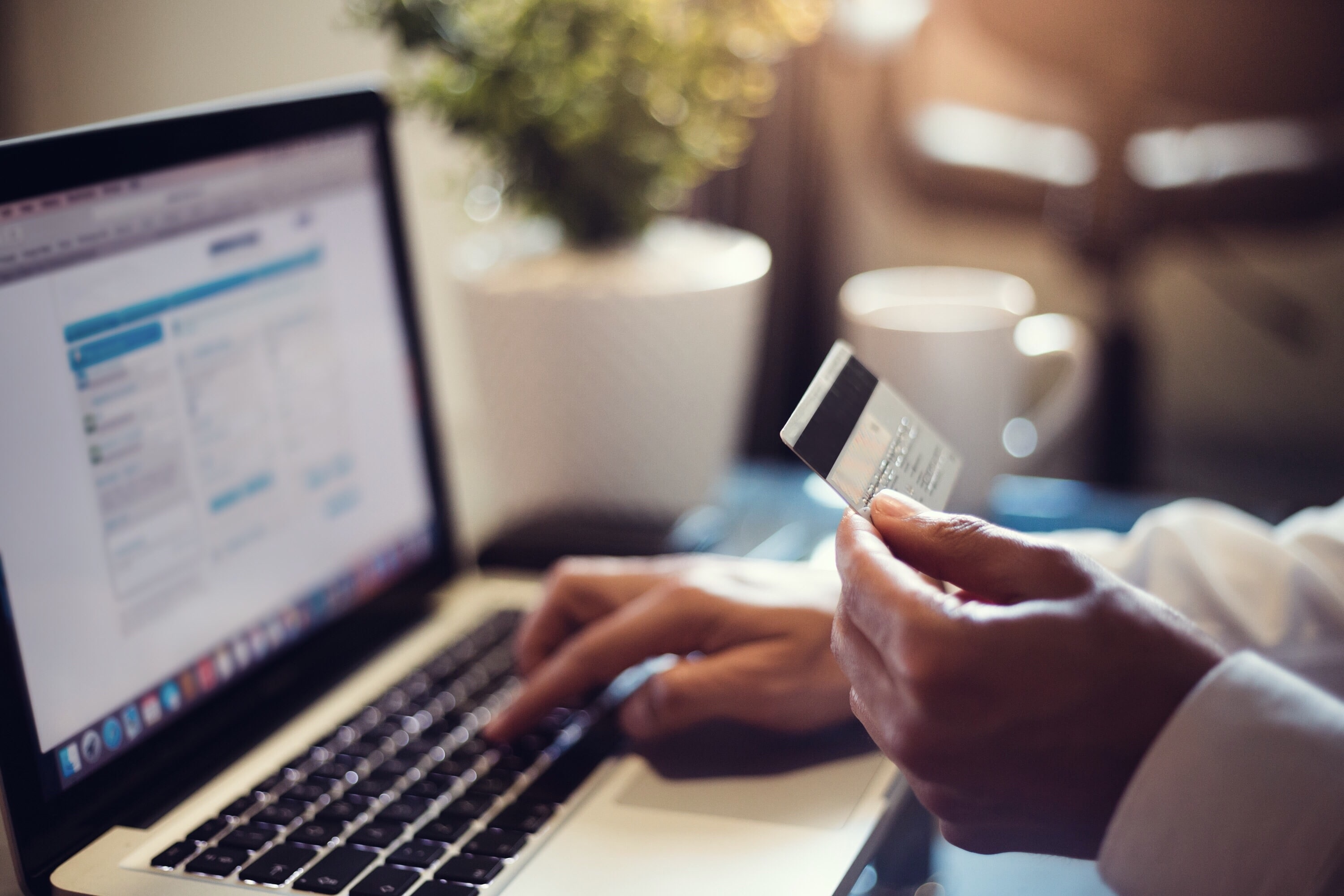 Online Payment Form, E-Commerce Payments